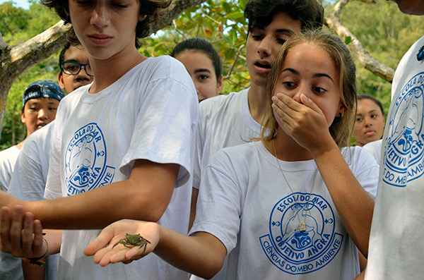 Imagem da Escola do Mar